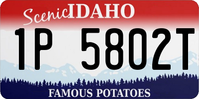 ID license plate 1P5802T