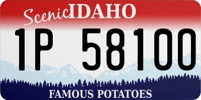 ID license plate 1P5810O