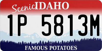 ID license plate 1P5813M