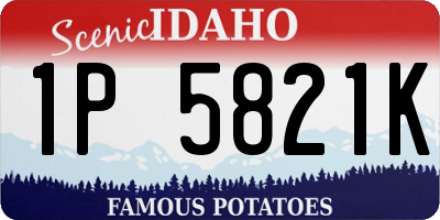 ID license plate 1P5821K