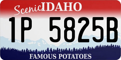 ID license plate 1P5825B