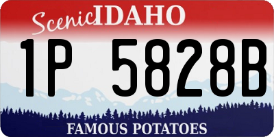 ID license plate 1P5828B
