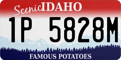 ID license plate 1P5828M