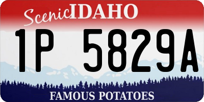 ID license plate 1P5829A