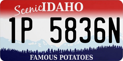 ID license plate 1P5836N