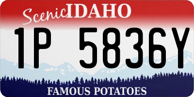 ID license plate 1P5836Y