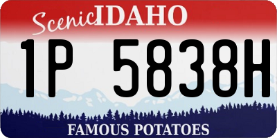 ID license plate 1P5838H