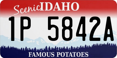 ID license plate 1P5842A
