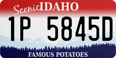 ID license plate 1P5845D