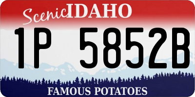 ID license plate 1P5852B