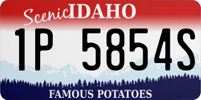ID license plate 1P5854S
