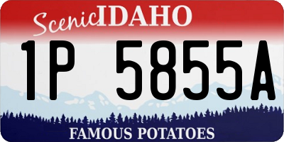 ID license plate 1P5855A