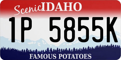ID license plate 1P5855K