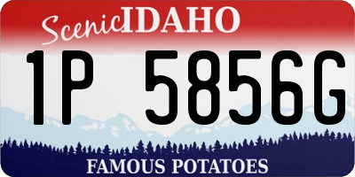 ID license plate 1P5856G