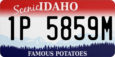 ID license plate 1P5859M