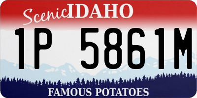 ID license plate 1P5861M
