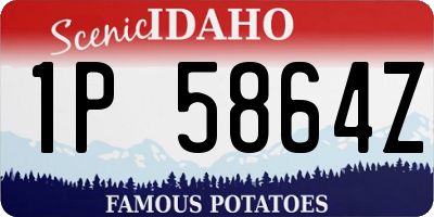 ID license plate 1P5864Z