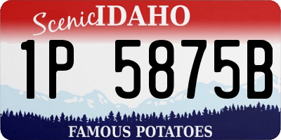 ID license plate 1P5875B