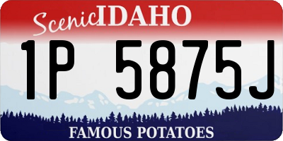 ID license plate 1P5875J