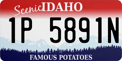 ID license plate 1P5891N