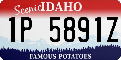 ID license plate 1P5891Z