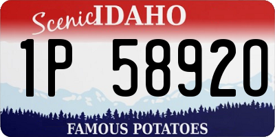 ID license plate 1P5892O