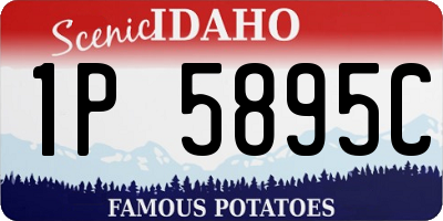 ID license plate 1P5895C
