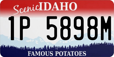 ID license plate 1P5898M