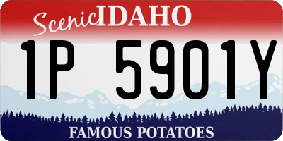 ID license plate 1P5901Y