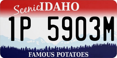 ID license plate 1P5903M
