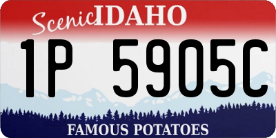 ID license plate 1P5905C
