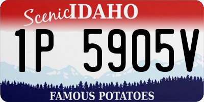 ID license plate 1P5905V