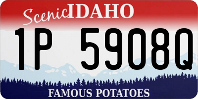 ID license plate 1P5908Q