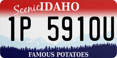 ID license plate 1P5910U