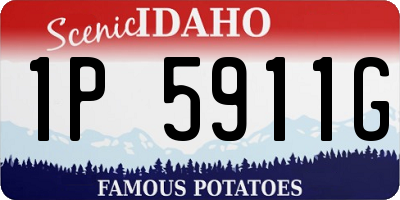 ID license plate 1P5911G