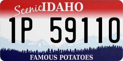 ID license plate 1P5911O