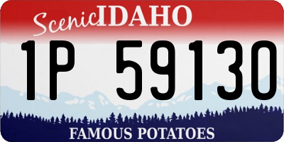 ID license plate 1P5913O