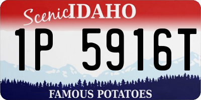 ID license plate 1P5916T
