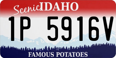 ID license plate 1P5916V