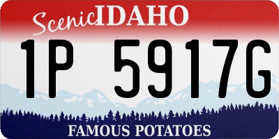 ID license plate 1P5917G