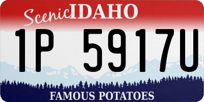 ID license plate 1P5917U