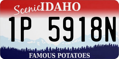 ID license plate 1P5918N