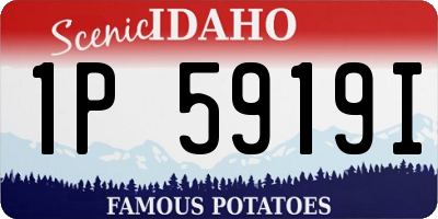 ID license plate 1P5919I