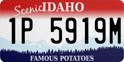 ID license plate 1P5919M