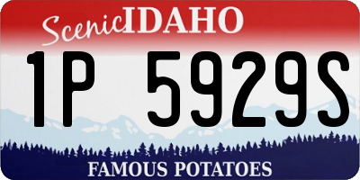ID license plate 1P5929S