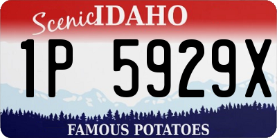 ID license plate 1P5929X