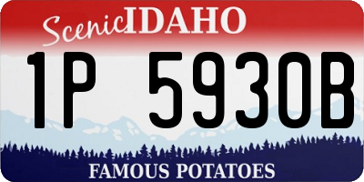 ID license plate 1P5930B