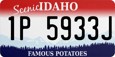 ID license plate 1P5933J