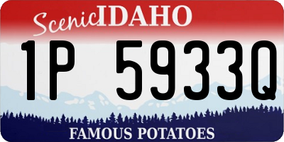 ID license plate 1P5933Q