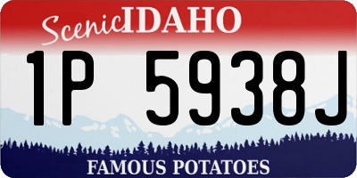 ID license plate 1P5938J